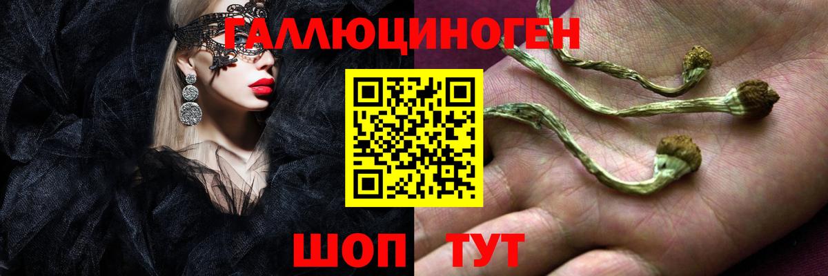 Галлюциногенные грибы прущие грибы  Вход с VPN  Галлюциногенные грибы мицелий  купить  сайты  Мирный 