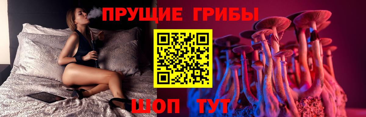 Галлюциногенные грибы Psilocybe Мирный